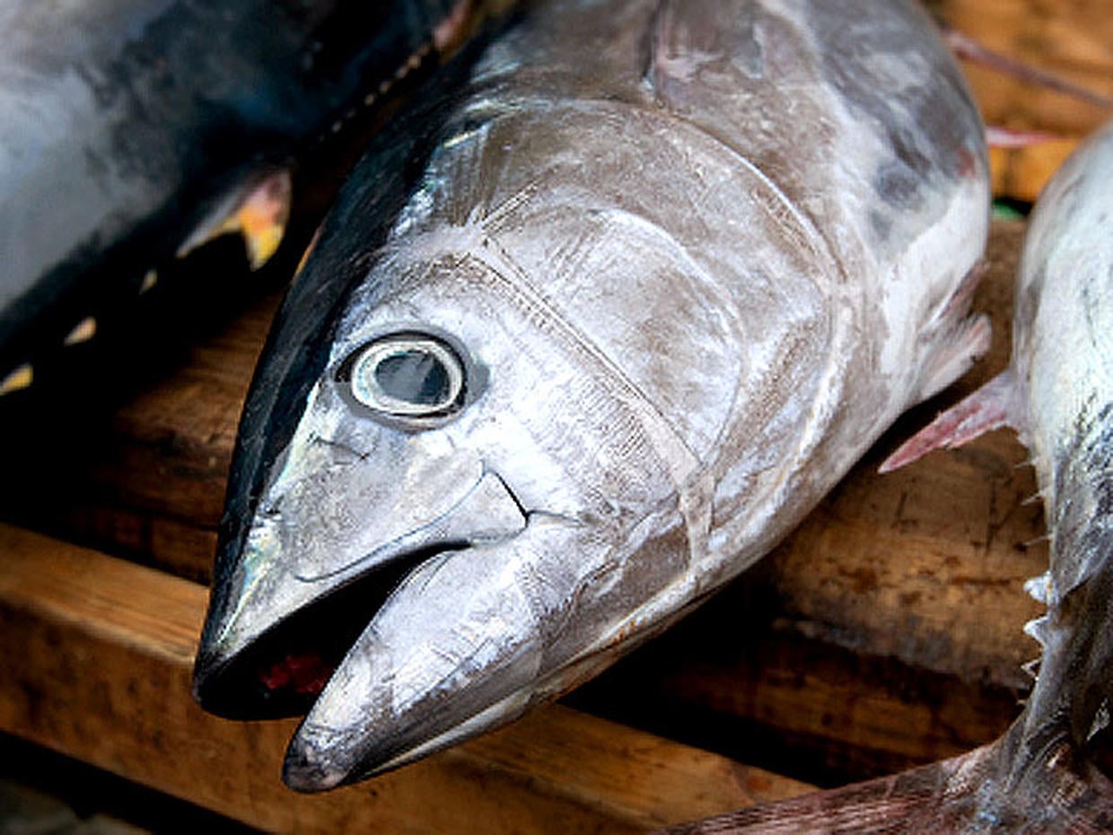 Tuna 10 foods most likely to make you sick CBS News