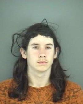 BB gun spree lands Va. man in jail