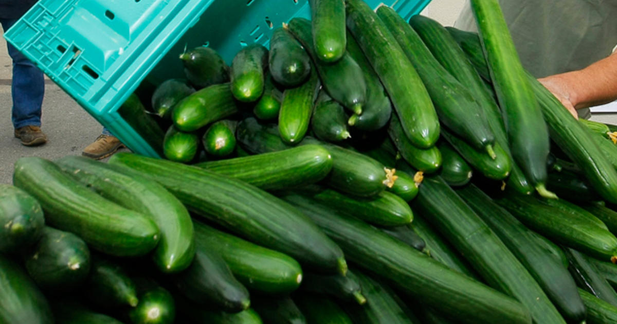 Salmonella Poisoning Connected To Mexican Cucumbers Cbs News