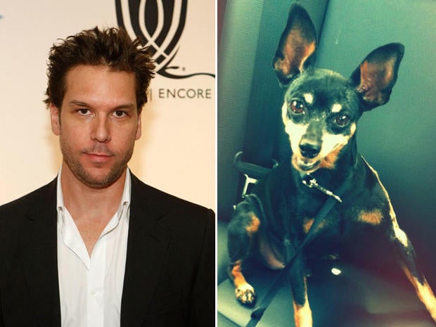 Dane Cook finds missing dog, thanks Twitter followers