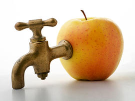 apple, liquid, faucet, tap, liquid diet, fruit, juice, stock, 4x3