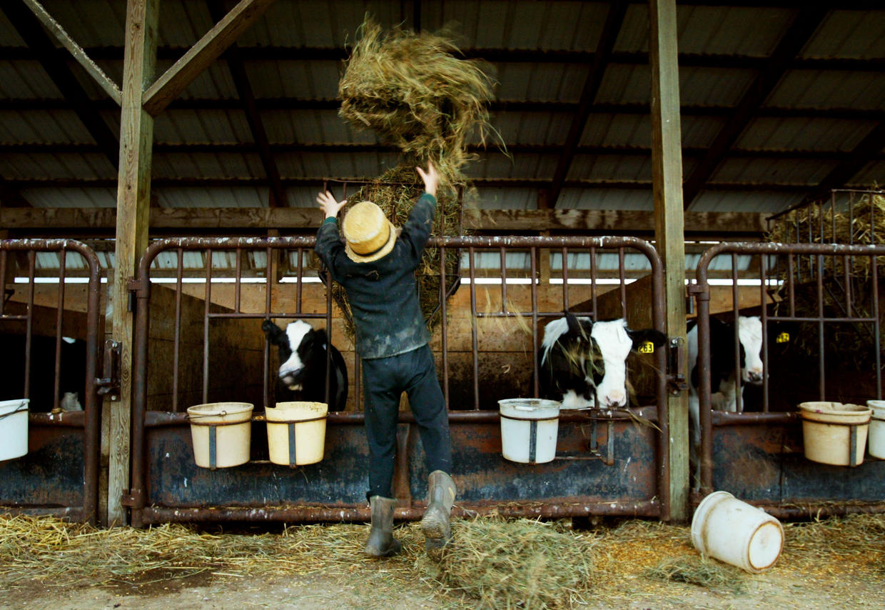 Inside Amish Life Photo 1 Cbs News 