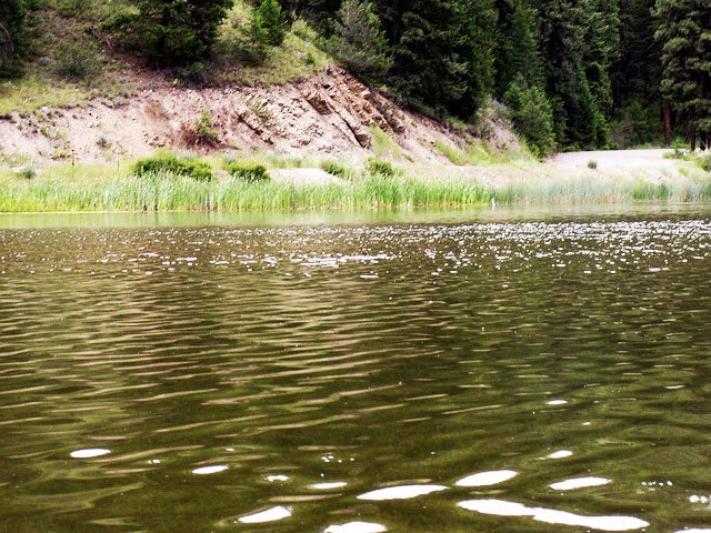 Braineating amoeba How to stay safe from Naegleria fowleri CBS News