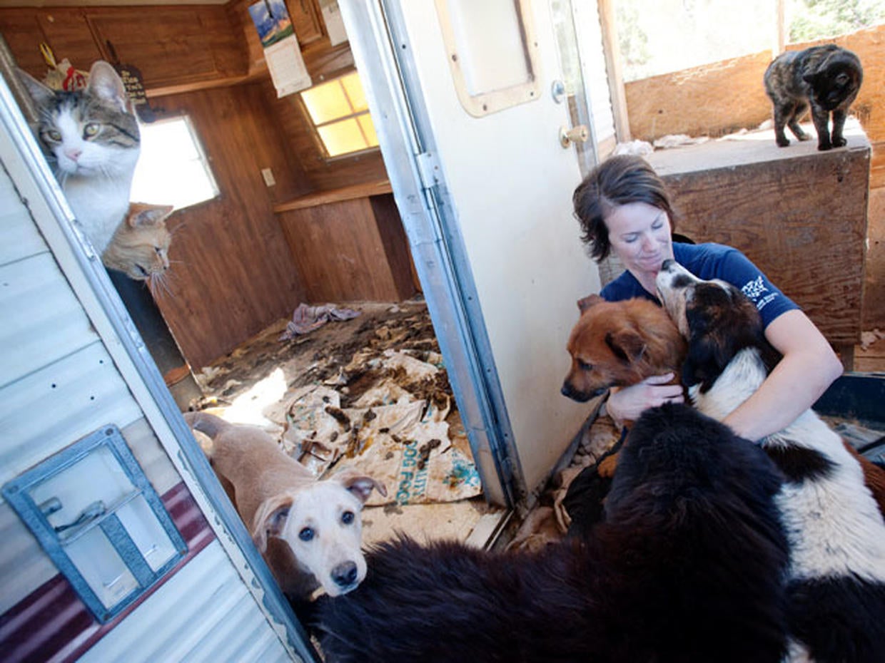 Pet hoarding horrors 27 photos spotlight cruel disorder Photo 9