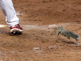 Skip Schumaker and squirrel