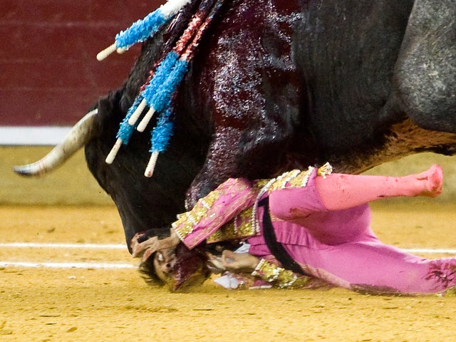Bullfighter Makes Comeback After Horrific Goring Cbs News