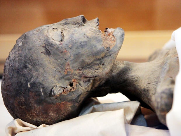 The mummy of King Tutankhamun's mother is seen on display during a press conference at the Egyptian Museum Feb. 17, 2010, in Cairo.