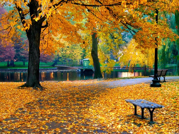 No money for mental health? 15 states with biggest cutbacks 