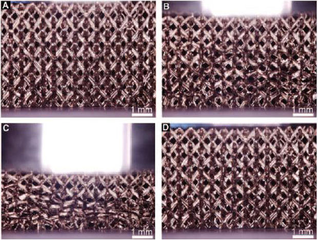 This sequence of photos shows the nickel lattice being compressed for the first time, then rebounding. After a 50 percent compression, it rebounds to 98 percent of its original height.