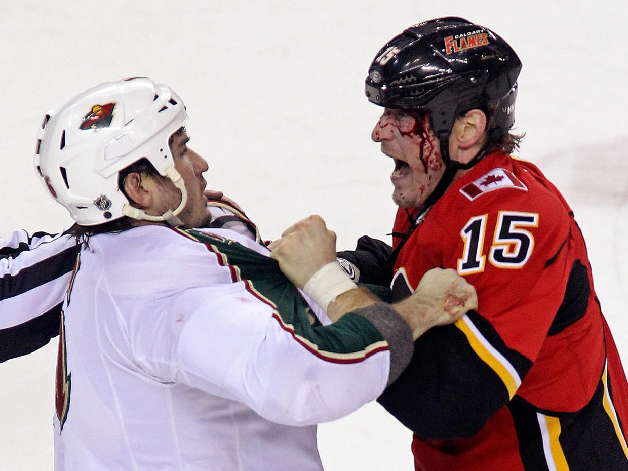 NHL Fights