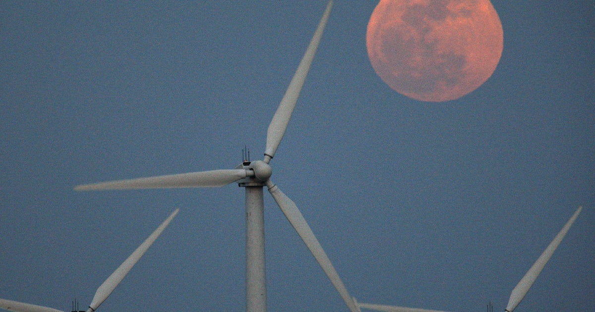 About 600,000 bats killed by wind turbines in 2012, study shows CBS News