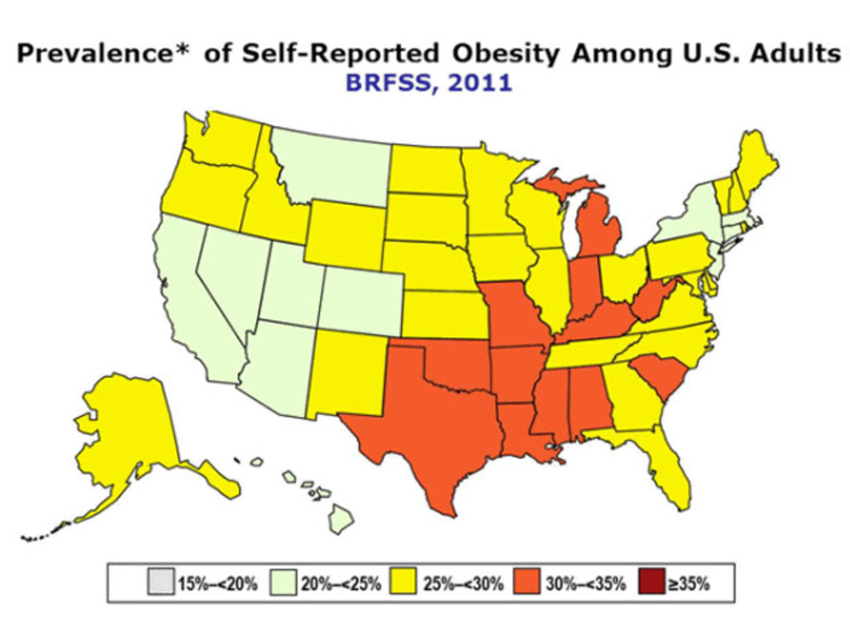 Процент ожирения по Штатам США. Карта ожирения США. Text about obesity in the USA Г.sa. Fat Map.
