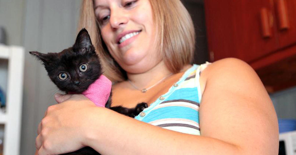 Kitten Found After 100 Miles On Womans Bumper CBS News