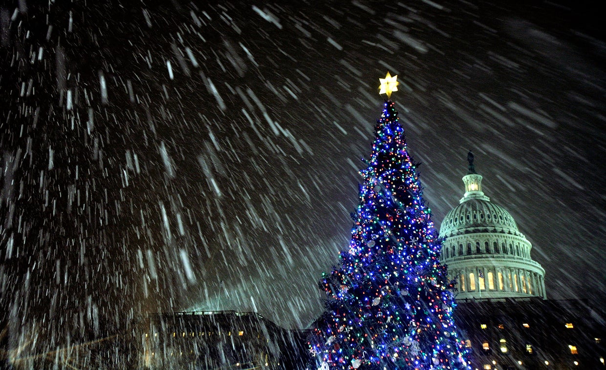 U.S. Capitol Christmas Tree lighting ceremony CBS News