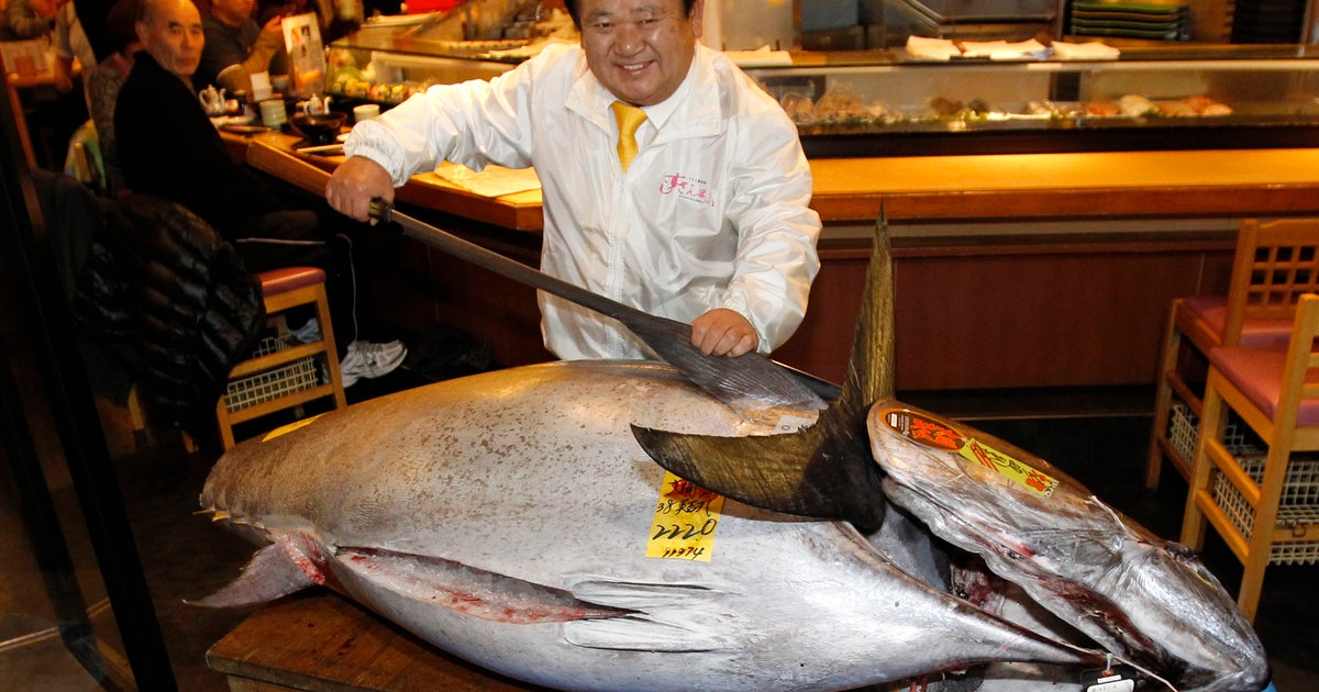 Bluefin tuna sells for record $1.76M in Tokyo - CBS News