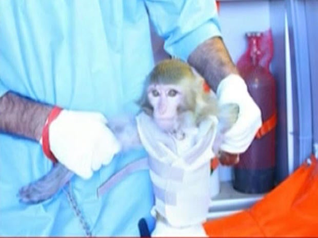 Iran's space monkey