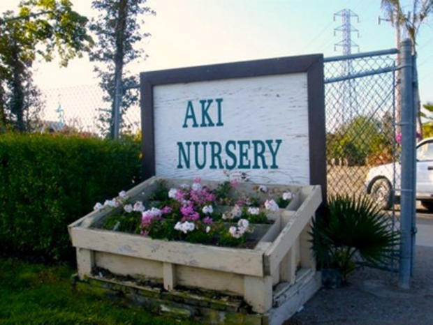 Aki Nursery 