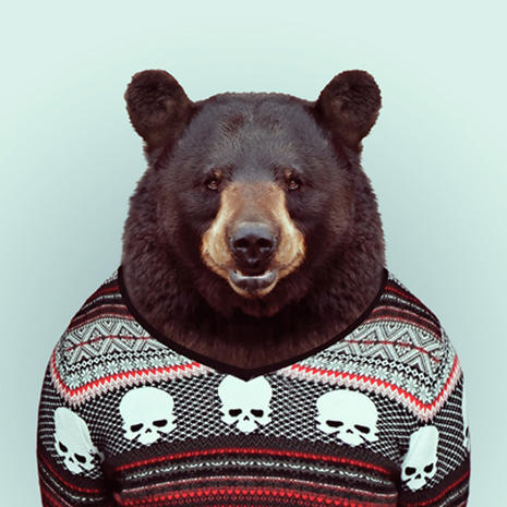 Image result for bear dressed like people