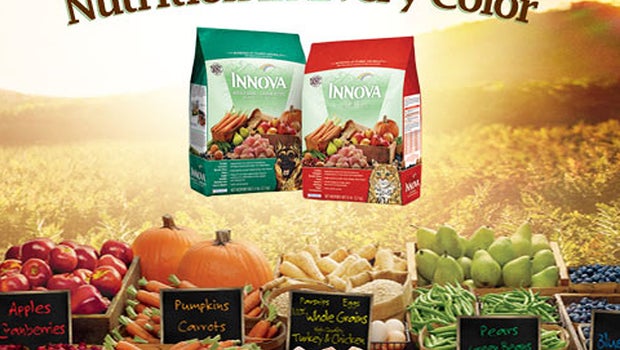 Innova dog food coupons