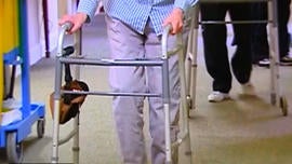 Nursing home report card lists states that fail to protect elderly