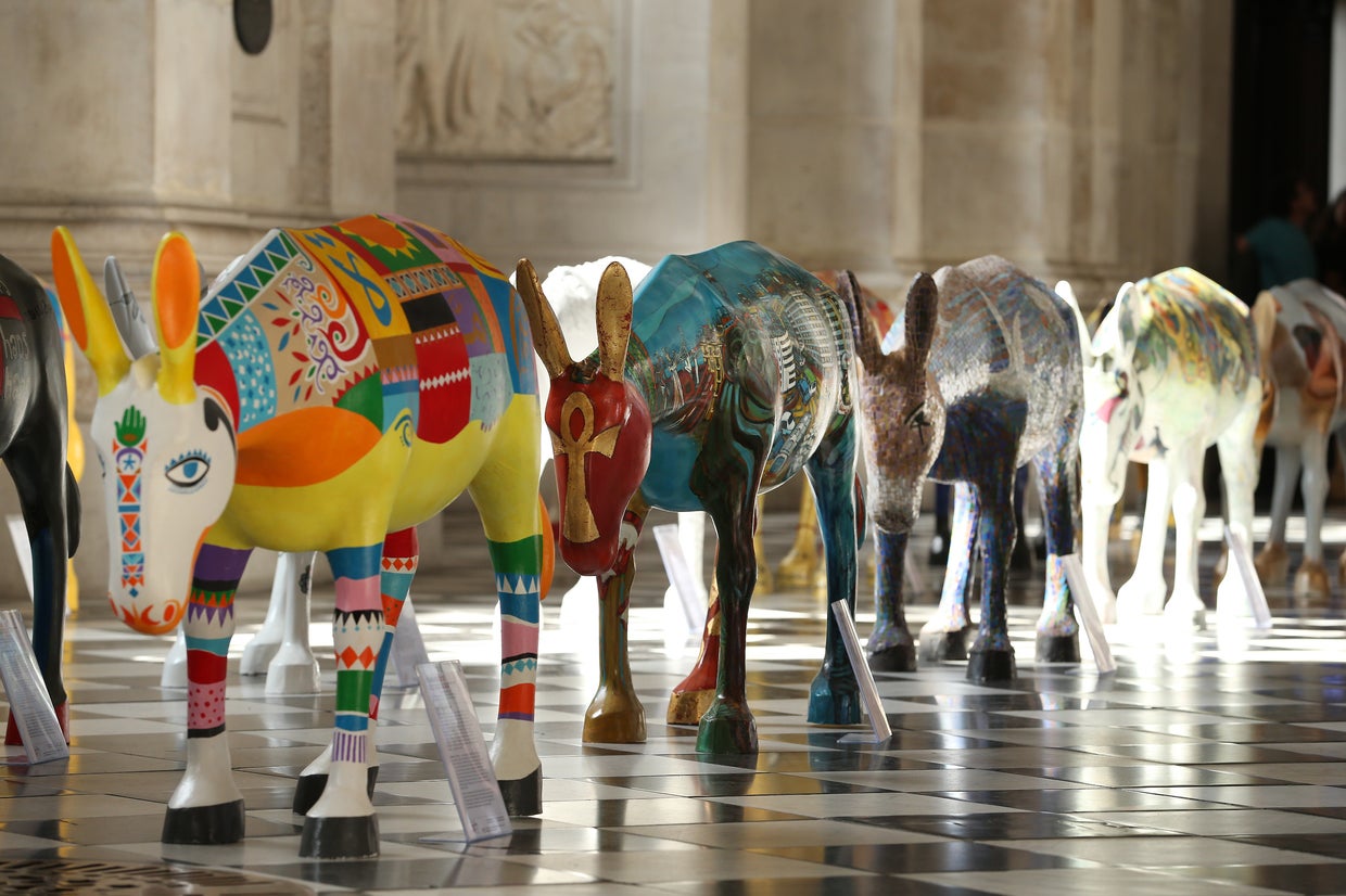 Painted donkeys arrive in London CBS News