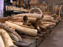 ivory objects seized by U.S. authorities