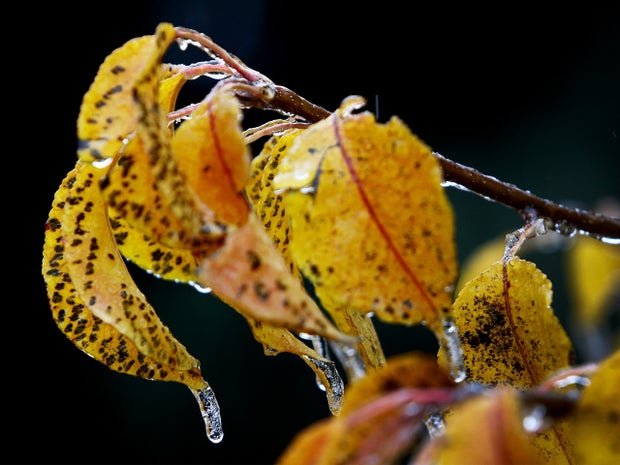 Ice storm freezes Texas, South CBS News