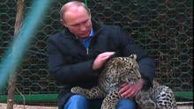 putinkittyphillips01.jpg