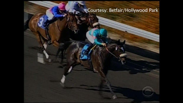 racetrack-winner.jpg
