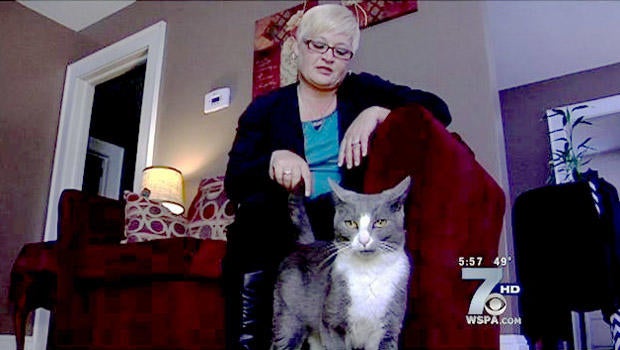 mayhem-and-owner3431674-g.jpg