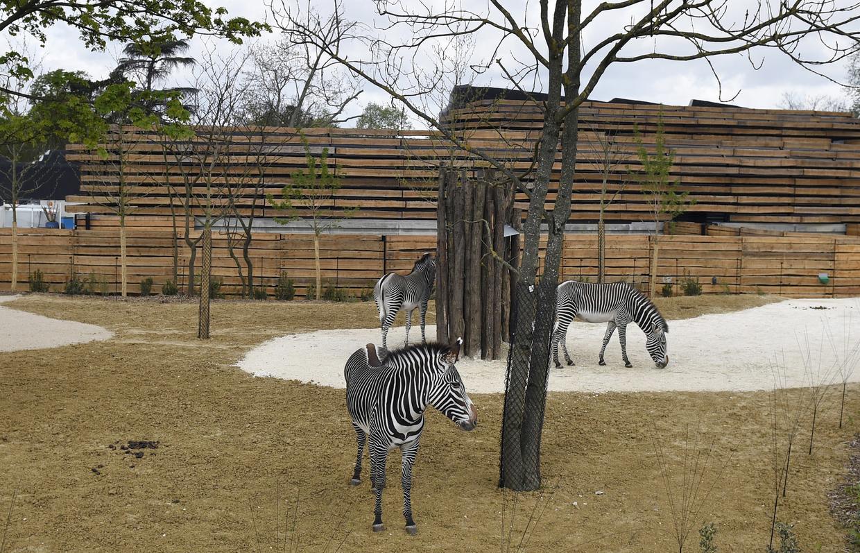 France Paris zoo reopens Pictures CBS News