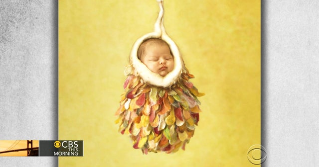 anne geddes this little baby