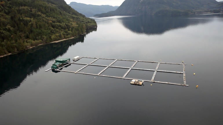 salmon-final-aerial.jpg