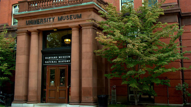 Harvard University Museum of Natural History 