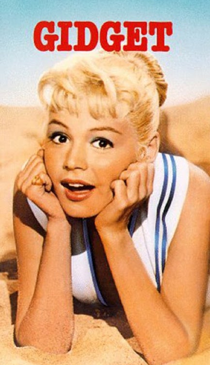 gidget tv show remake