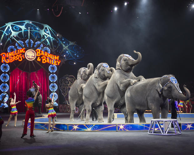 Elephants #2 Ringling Bros. and Barnum &amp; Bailey presents LEGENDS - Credit Feld Entertainment 