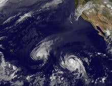 ap842111306576.jpg