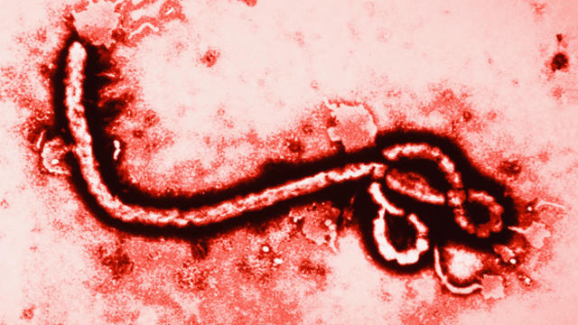 ebola1.jpg 