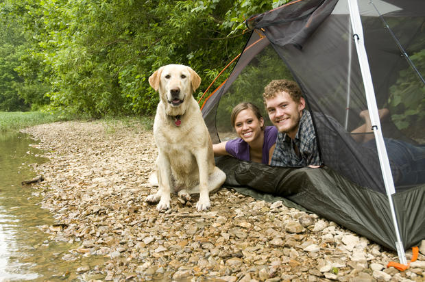 camping dog family couple 