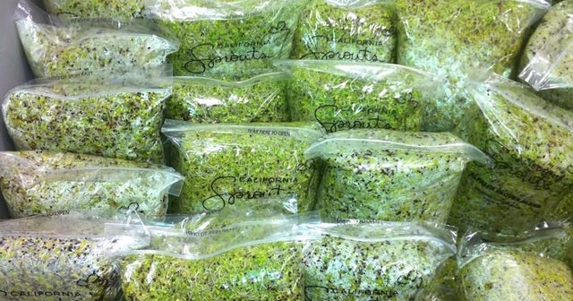 Can broccoli help combat autism symptoms? Videos CBS News