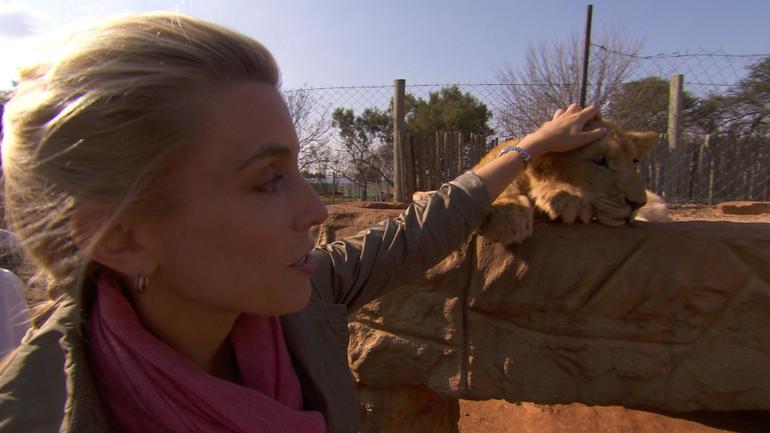 Clarissa Ward and lion cub