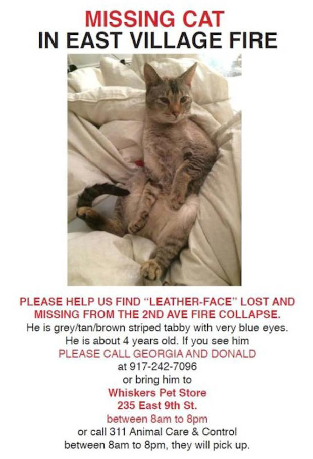 Leather Face, Missing Cat, East Village Explosion 