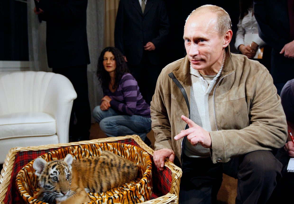 President, animal lover, professional wild man: Russia's Vladimir Putin ...