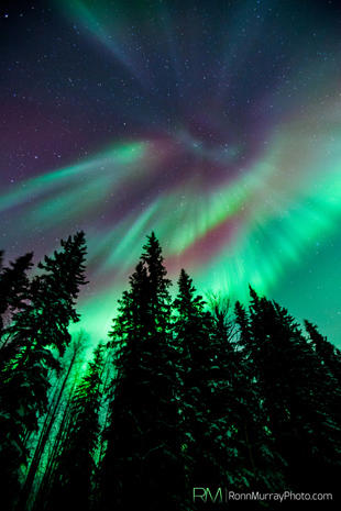 Aurora Borealis - Alaska's Northern Lights - Pictures - CBS News
