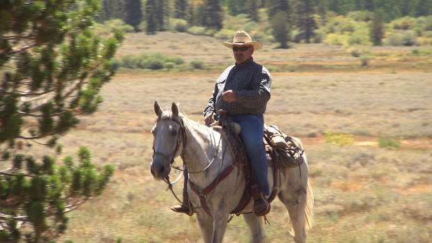 reid-horses-1frame70453.jpg