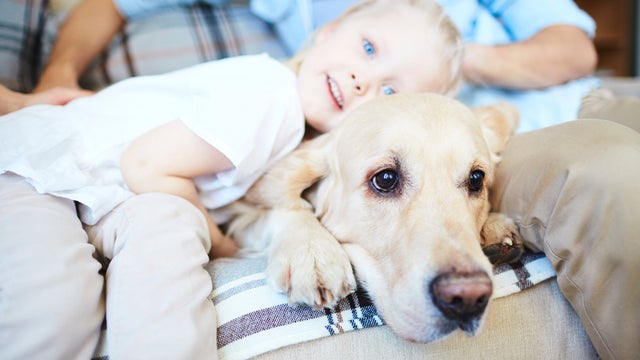 dog-with-child-on-couch.jpg