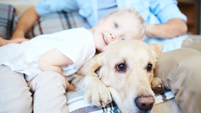 dog-with-child-on-couch.jpg 