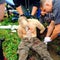 davidsweat-injured.jpg 