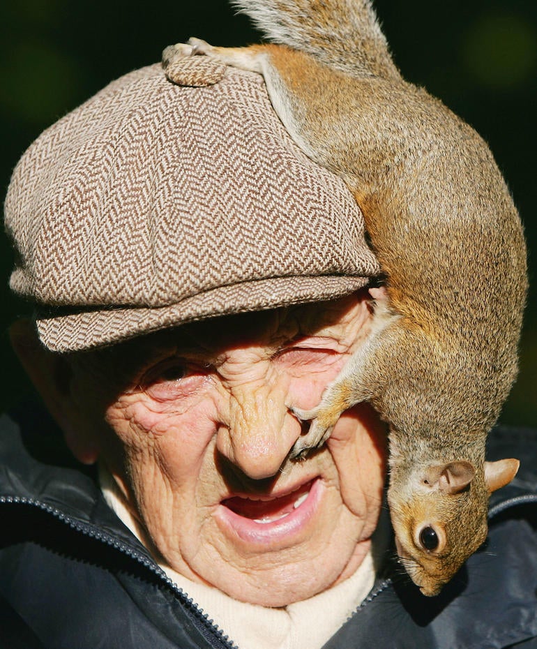 Squirrels going nuts Squirrels 1, Rest of the world 0 CBS News