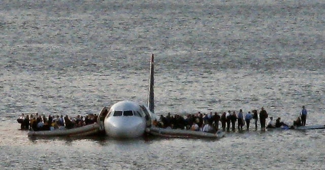 FAA Is Taking A Closer Look At Plane bird Strikes CBS News